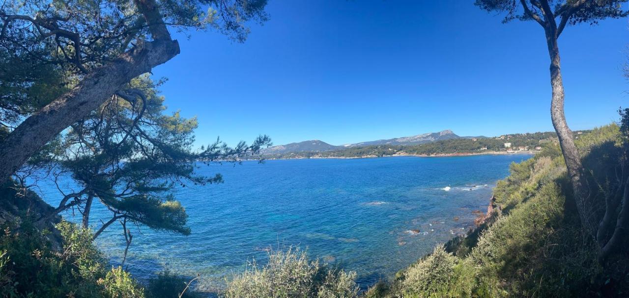 Agréable studio vue mer refait à neuf&climatisé Le Pradet Exterior foto