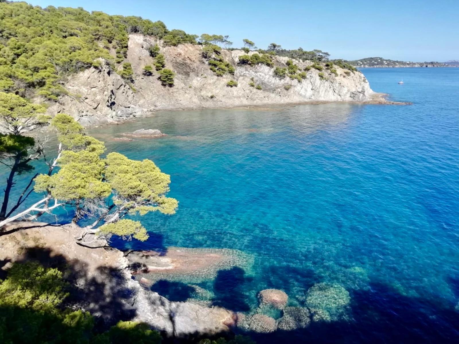 Agréable studio vue mer refait à neuf&climatisé Le Pradet Exterior foto